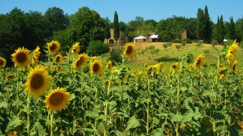 Agriturismo Natura E Salute San Gimignano Extérieur photo